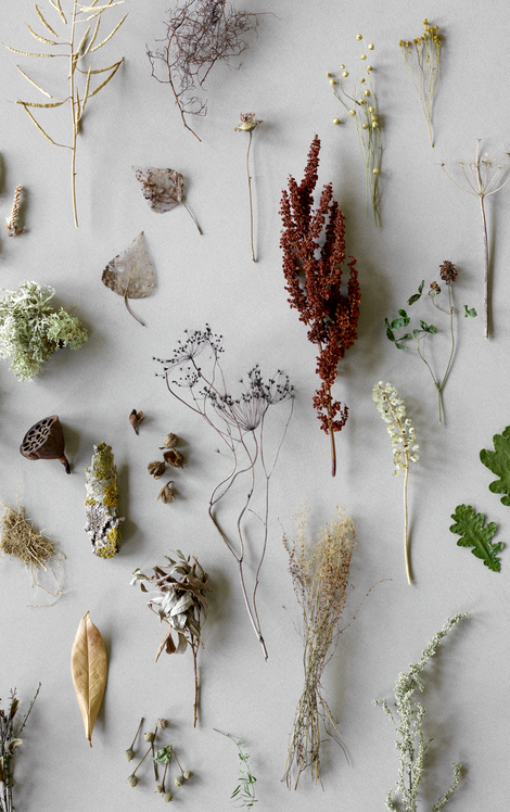 Naturen forbløffer os stadig