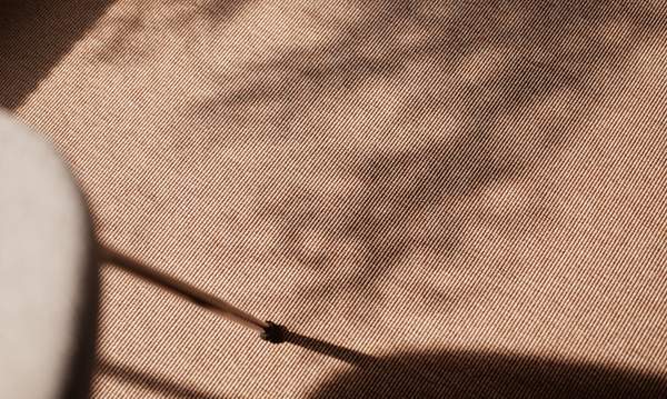 56 farver af Margrethe Odgaard