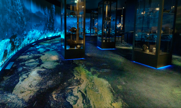 Bergen Universitetsmuseum