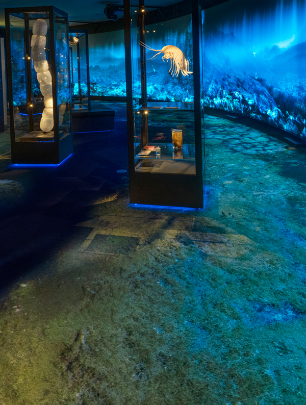 Bergen Universitetsmuseum