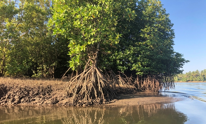 CO<sub>2</sub>-kompensation