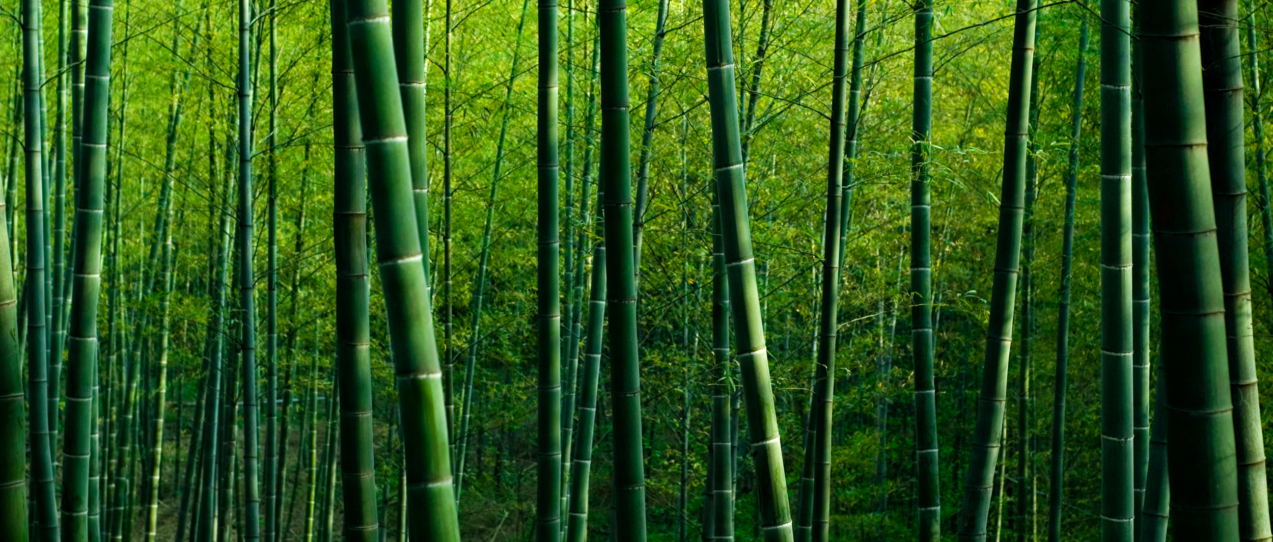 Bæredygtighed er vævet ind i vores mindset og tæpper