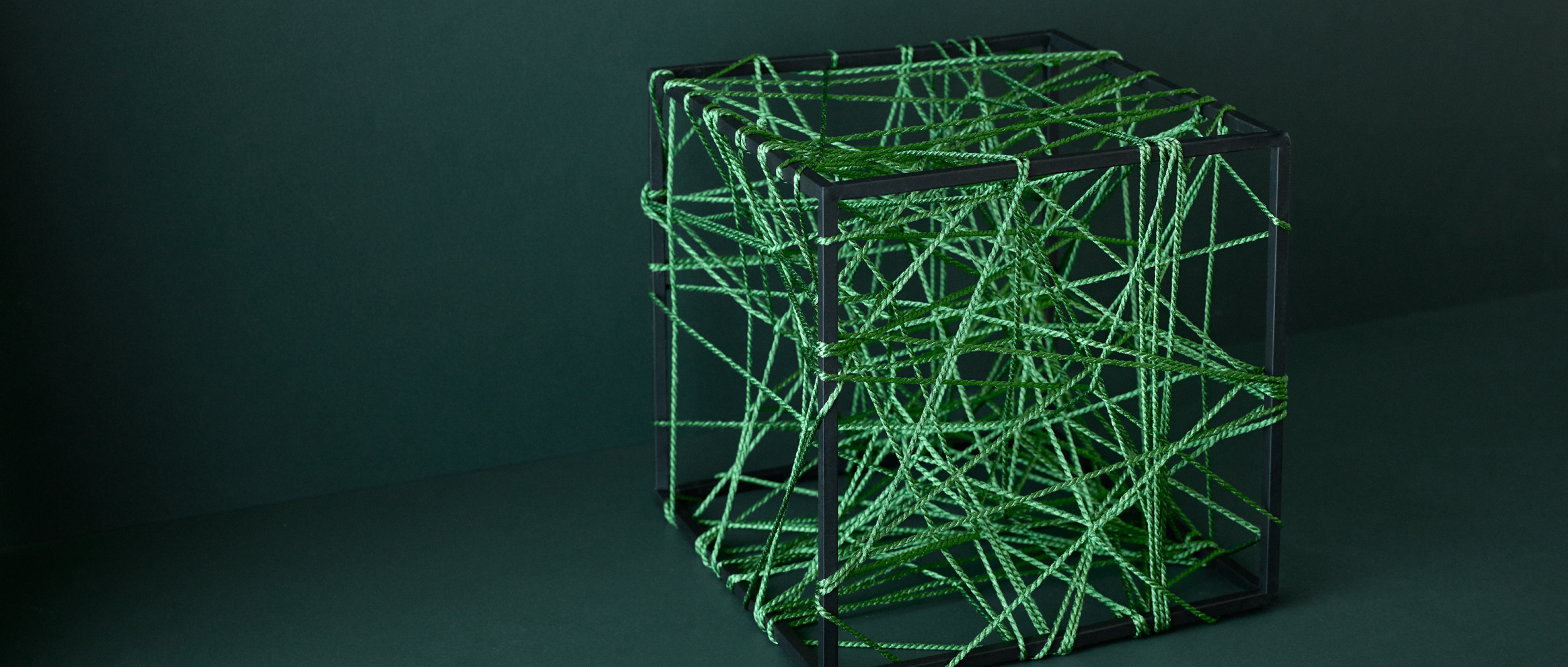 Bæredygtighed er ikke en mulighed. <br> Det er vævet ind i hele vores tankegang