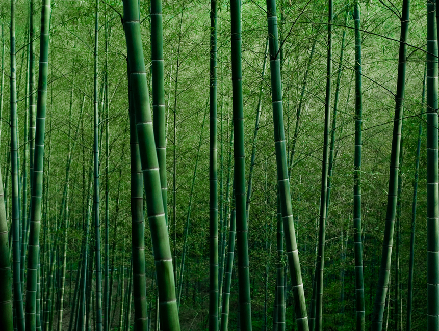 Etik som forretningsparameter