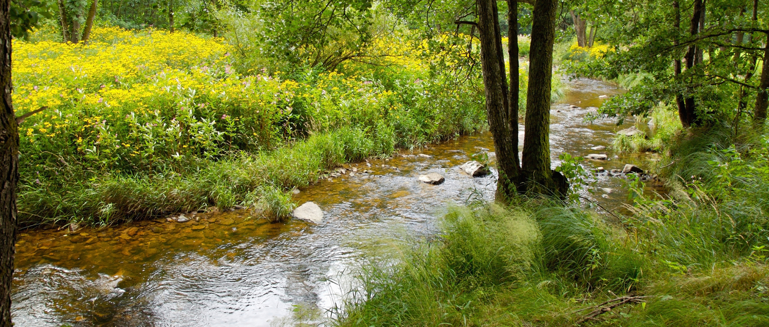Cirkulære processer i produktionen